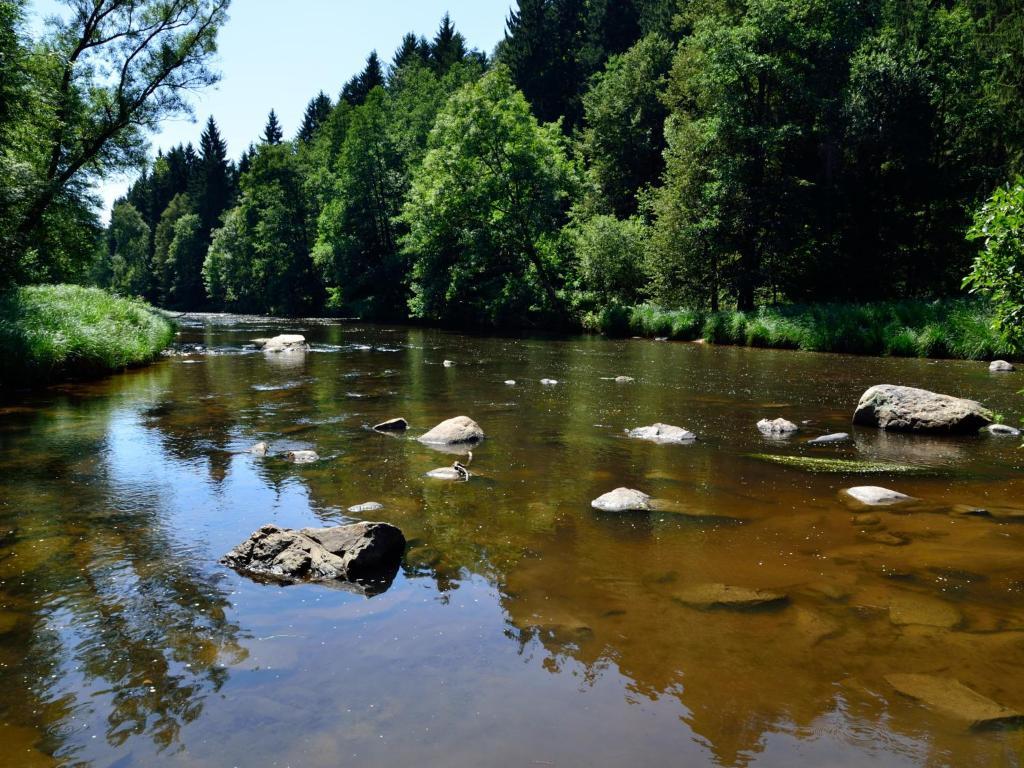 Ferienwohnungen Grill Schönberg Стая снимка